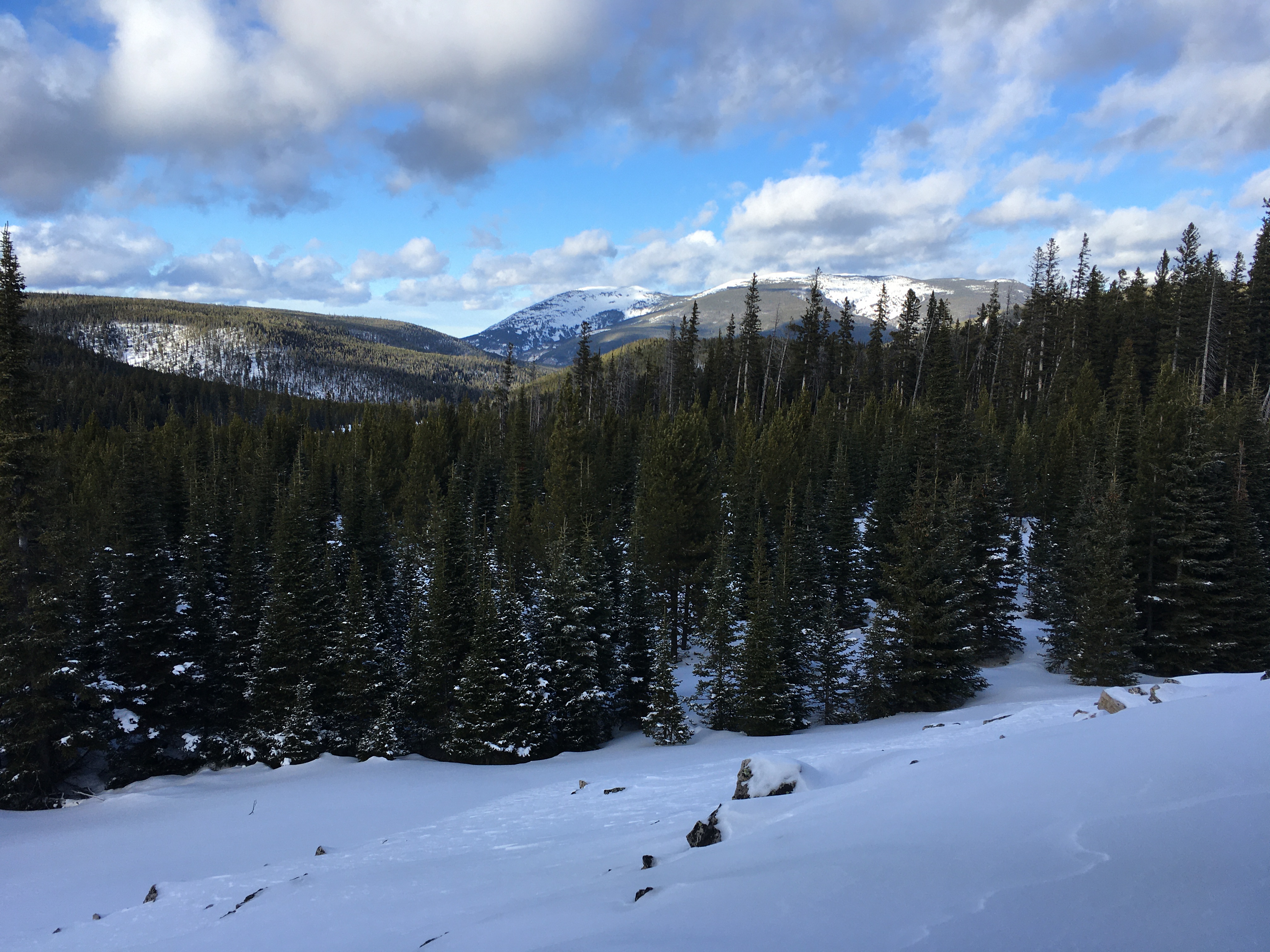 5181ef80-0e74-4090-8ac8-52ee116c6fa5