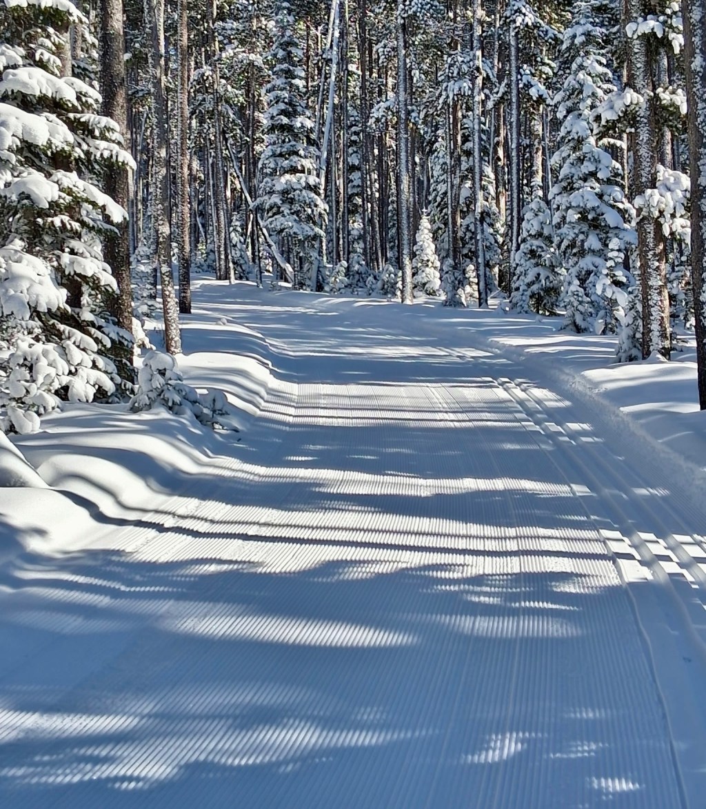 Grooming update Jan 25, Sunday. 24 inches&nbsp;now.