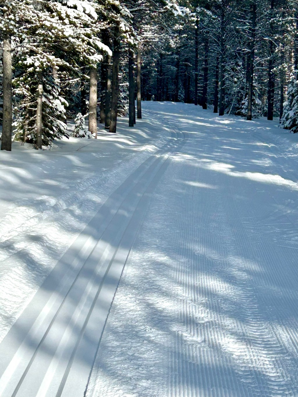 Thursday, Jan 22&nbsp;Grooming.