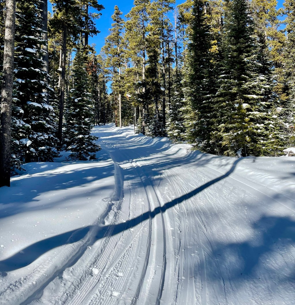 Great! skiing at Silvercrest right now!